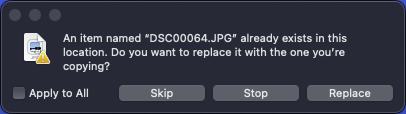 Skip, stop, or replace dialog