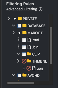 File filtering and ignore options